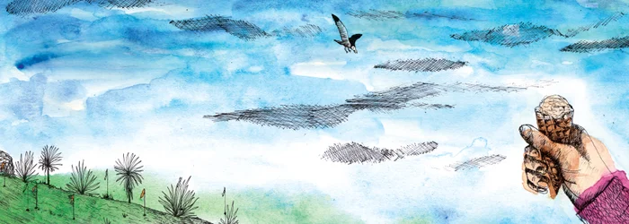 The Seagull
