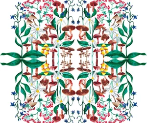 Wild Plants