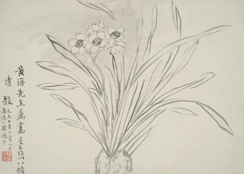 Album of Flowers