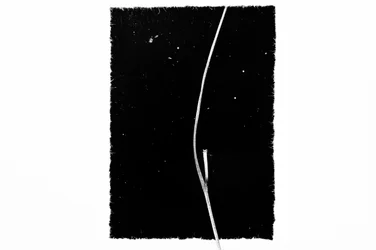 Graceful Curve in Dark