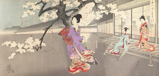 Chiyoda Castle Album of Women
