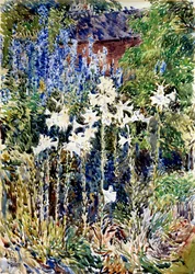A Flower Garden