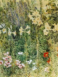 Larkspurs and Lillies