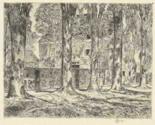 Village Elms, 1923
