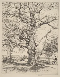 Wayside Inn - Oaks in Spring