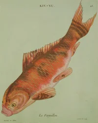 Le Vermillon, engraved by Francois Nicholas Martinet