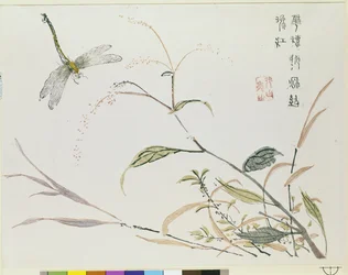 Mustard Seed Garden
