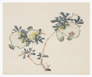 Ten Bamboo Series, 18th century