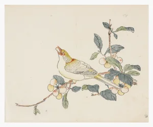 Ten Bamboo Series, 18th century