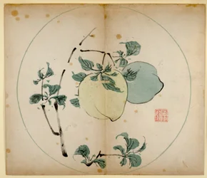 Ten Bamboo Studio Prints