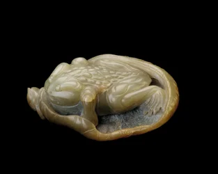 Toad on a Lotus Leaf
