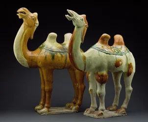 Two camels, Tang Dynasty