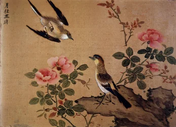 Unknown Image