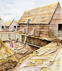 Viking Buildings