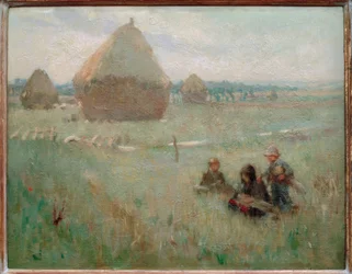 In the Hayfield