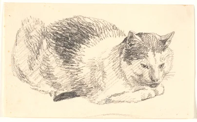 Lying Cat