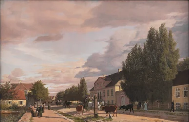 View of a Street in Østerbro outside Copenhagen. Morning Light