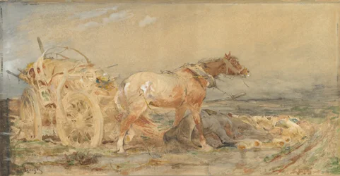 Abandoned: Marshes of the Danube, before 1887