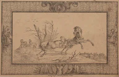 A mare with her foal