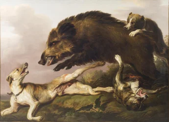 Wild Boar Hunt