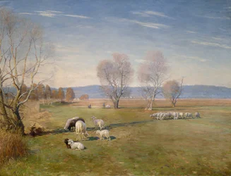 Landscape with Sheep