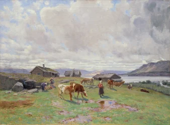 Morning Atmosphere at Holmvassbu
