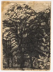 Trees