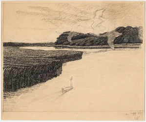 Draft for The Ugly Duckling