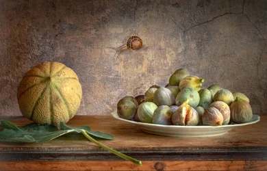Cantaloupe Figs Snail