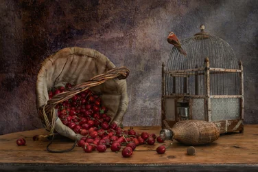 Vintage Birdcage and Cherries