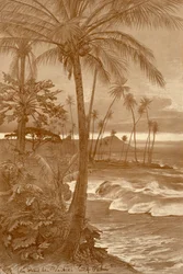 The beach at Waikiki, Hawaii, 1898
