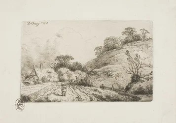 The Cornfield