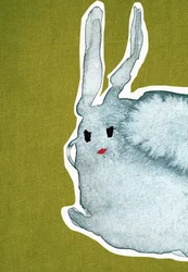 Rabbit Green Canvas