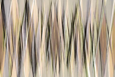 Abstract Earthy Lines