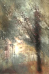 Autumn Forest Glow
