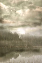 Birds Over Misty Lake