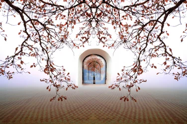 Dreamy Autumn Archway
