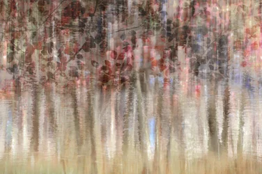 Dreamy Autumn Reflections