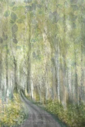 Dreamy Forest Path