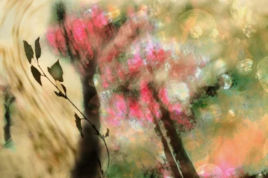 Dreamy Pink Foliage