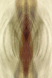 Earthy Flowing Symmetry