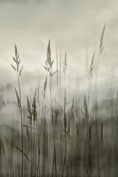 Ethereal Tall Grass
