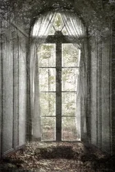 Forgotten Forest Window