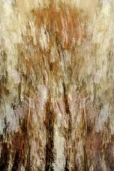Golden Forest Impression