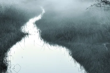 Misty Winding Stream