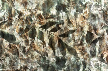 Natural Leaf Pattern