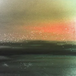 Ocean Birds Red Sky