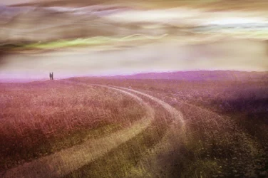 Romantic Field Path