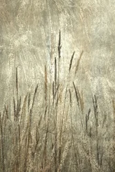 Rustic Tall Grasses