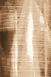 Shimmering Abstract Lines